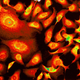 Illustration for article titled OMG These Images of the Sub-Microscopic World Are Amazing